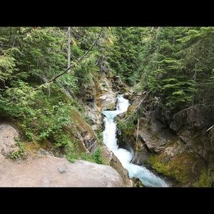 Meet your Posher, Oscar